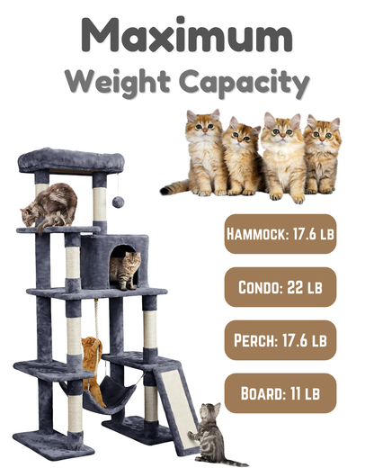 Multi-Level Cat Tree